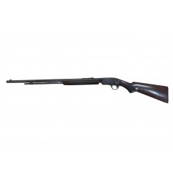 Savage mod. 29